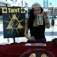 Tarot Card Reader