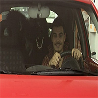 Bear In Back Seat