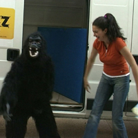 Gorilla Jumps On People